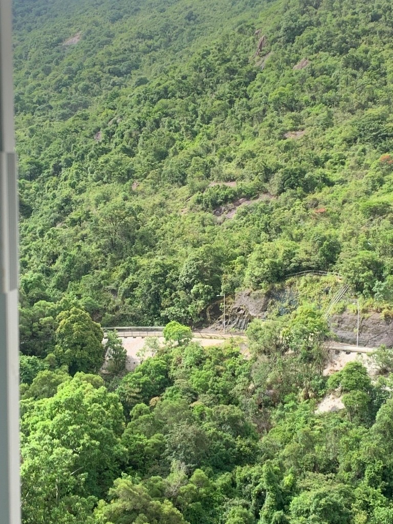 免佣金向南山景傢俬齊全4窗女土單人房 - Sha Tin/Fo Tan - Bedroom - Homates Hong Kong