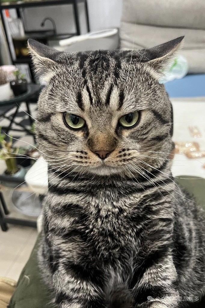 合單身或學生居住 - 屯门 - 房间 (合租／分租) - Homates 香港