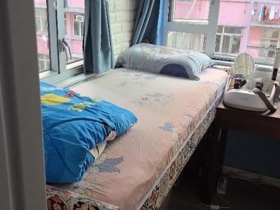 奧運站男生房分租即入住 打比我5336 4208 wtsapp - 大角咀中滙街33中興樓