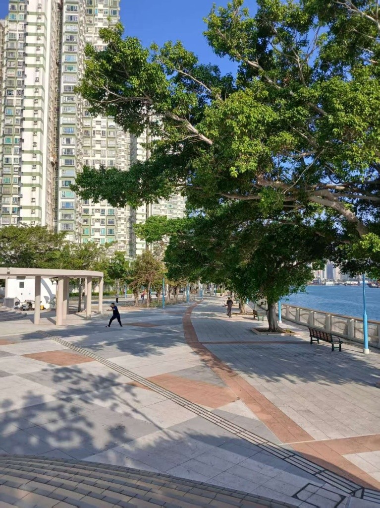 Master bedroom with ensuite bathroom, with basic furniture, high rise with sea view - 屯门 - 住宅 (整间出租) - Homates 香港