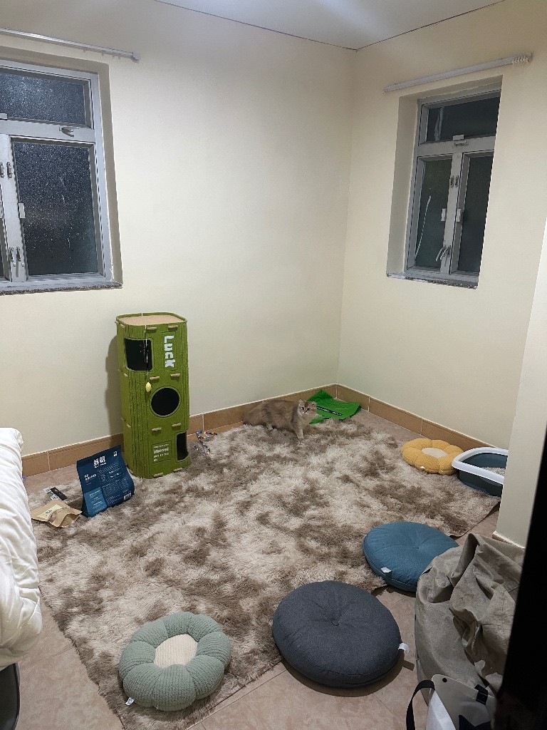 1房出租 - 佐敦/尖沙咀 - 房間 (合租／分租) - Homates 香港