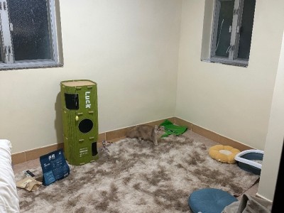 香港 -  - 文苑街17號