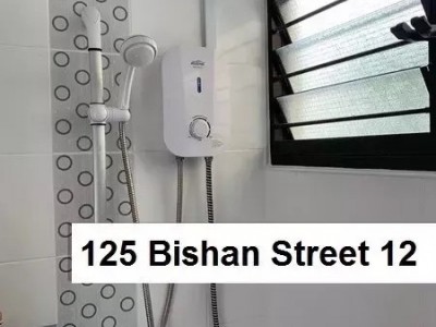 Singapore - Bishan - 125 Bishan Street 12
