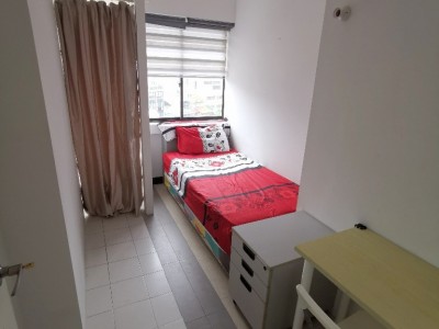 Common Room/Single Occupancy/no Owner Staying/No Agent Fee/Cooking allowed/Orchard Mrt /  Somerset MRT/Newton MRT/ Available 08 August - 304 Orchard Road , #09-03 Singapore 238863