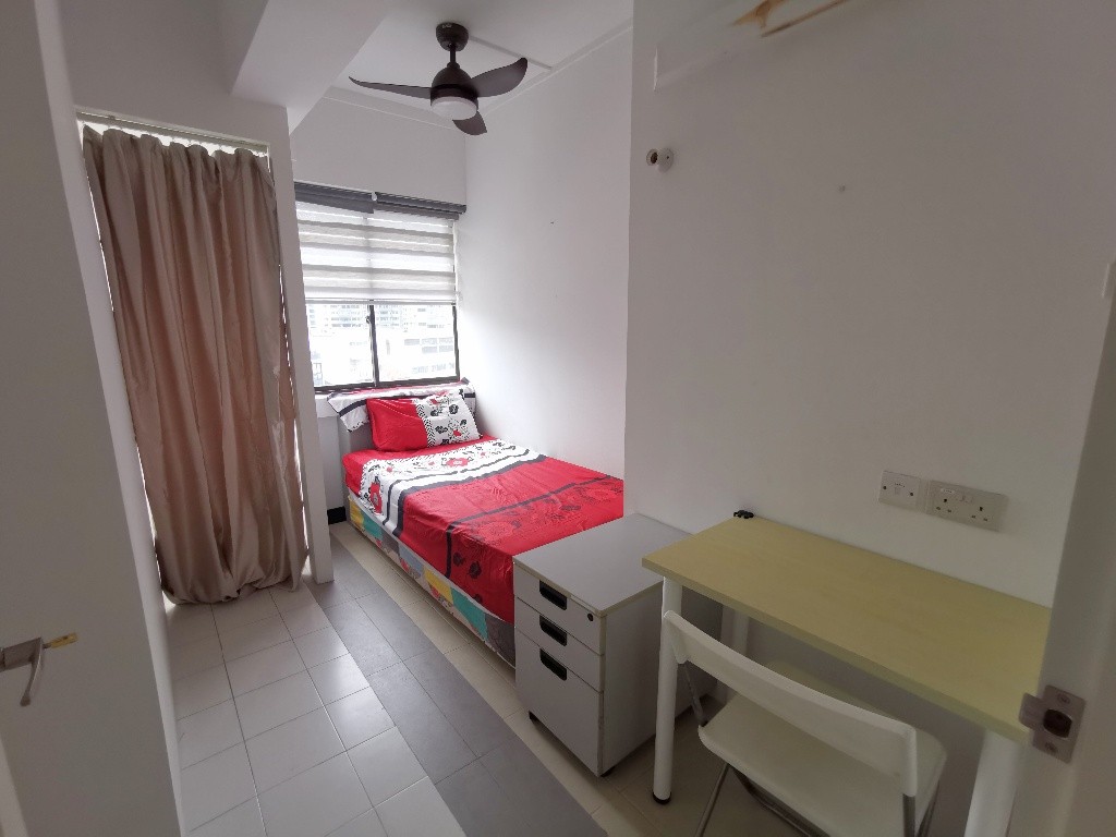 Common Room/Single Occupancy/no Owner Staying/No Agent Fee/Cooking allowed/Orchard Mrt /  Somerset MRT/Newton MRT/ Available 08 August - Somerset 索美塞 - 整個住家 - Homates 新加坡