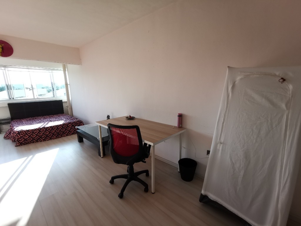 Common Room/FOR 1 PERSON STAY ONLY/Wifi/No owner staying/No Agent Fee/No owner staying/Cooking allowed/Boon Lay/Chinese Garden MRT/Jurong East MRT/Clementi/Lakeside MRT/ Available 19 Sep - Jurong East - Homates 新加坡