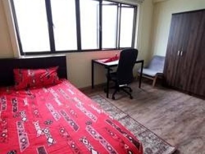 Available Sep 14 - Common Room/FOR 1 PERSON STAY ONLY/Private Bathroom/Include Utilities/Wifi/Aircon/No Agent Fee/Light Cooking Allowed/Washing Machine - Braddell View, 10A Braddell Hill, #24-04, Singapore 579720