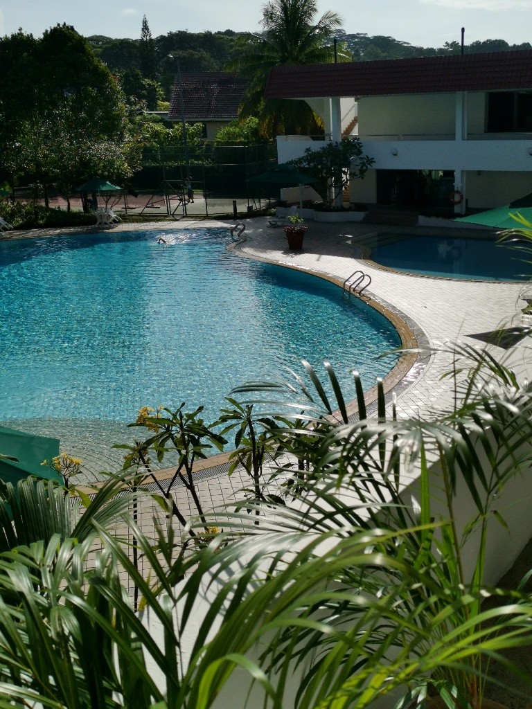 Clementi Park/Near Tradehub 21/Clementi MRT/ Available 01 Oct  Common  Room/Strictly Single Occupancy/no Owner Staying/No Agent Fee/Cooking allowed / Clementi Park/ Near Trade Hub 21/ Shuttle Service  - Homates 新加坡