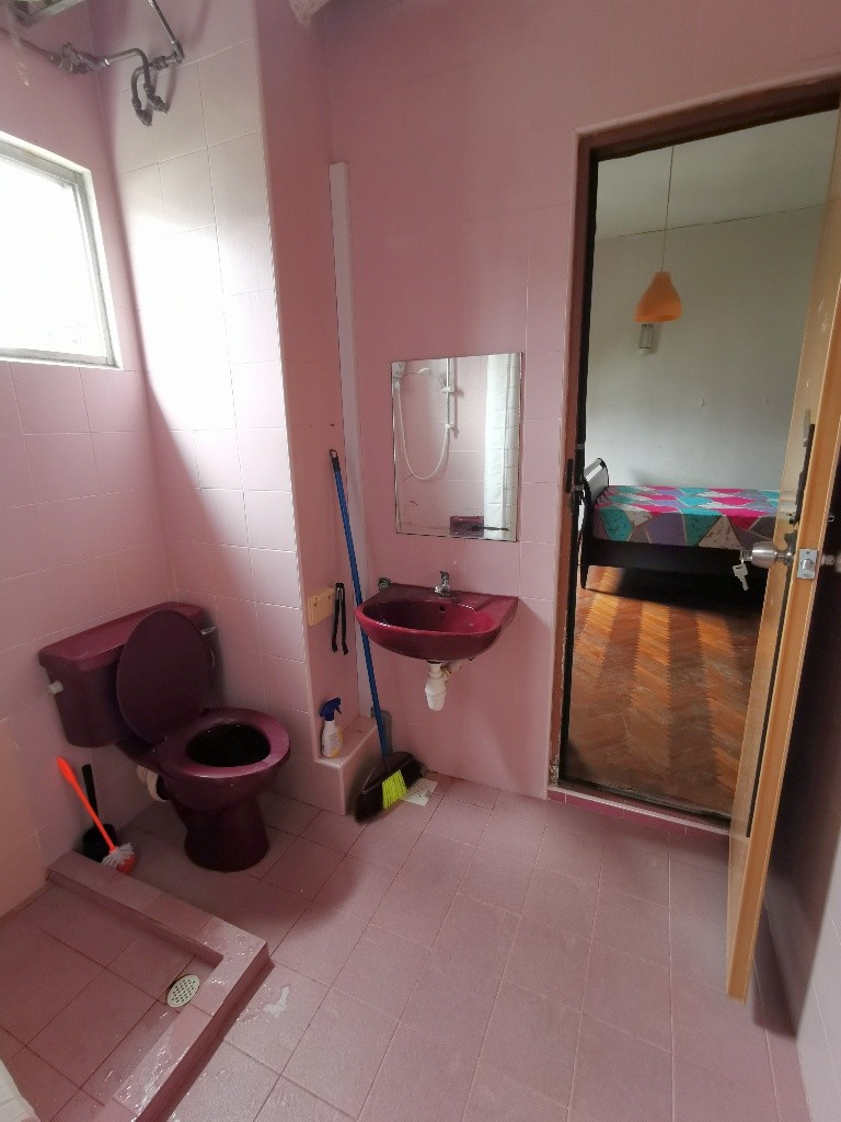 Available 02 Dec master bedroom/Strictly Single Occupancy/no Owner Staying/No Agent Fee/Private Bathroom/Cooking allowed/Near Somerset MRT/Newton MRT/Dhoby Ghaut MRT - River Valley - Bedroom - Homates Singapore