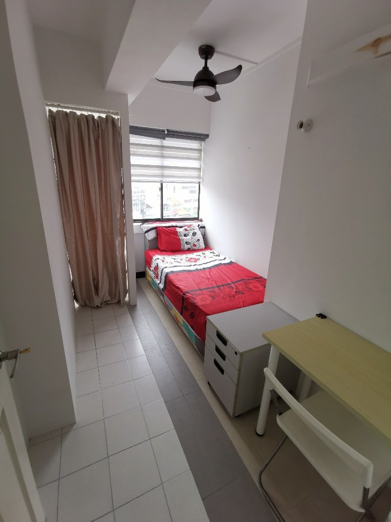 Available 11 Dec /Common Room/Single Occupancy/no Owner Staying/No Agent Fee/Cooking allowed/Orchard Mrt /  Somerset MRT/Newton MRT - River Valley 里峇峇利 - 分租房间 - Homates 新加坡