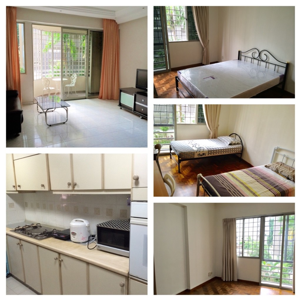 Spacious Condominium Common Room With Private Bathroom For Rent At Balestier--No Owner(Ritz Mansion) - Novena 诺维娜 - 分租房间 - Homates 新加坡