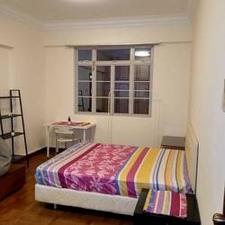 Master Room/For 2 Person Stay/no Owner Staying/No Agent Fee/Cooking allowed/Near Newton MRT/Near Orchard MRT/Stevens MRT/ Available 2 Dec - Newton 纽顿 - 分租房间 - Homates 新加坡