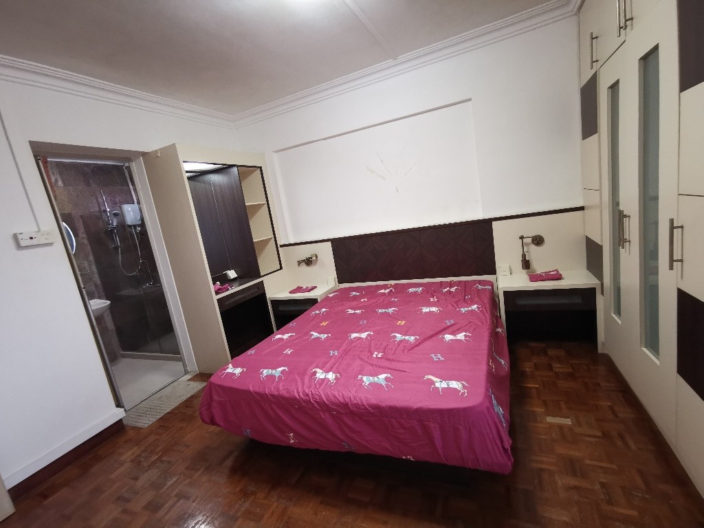 Outram MRT/Tanjong Pagar MRT/Chinatown MRT/Master Room/ Available 17 Dec/ No Agent Fee - Tanjong Pagar 丹戎巴葛 - 分租房間 - Homates 新加坡