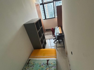 Room For Rent - BALESTIER PLAZA - 4 Jalan Ampas, Singapore 329505