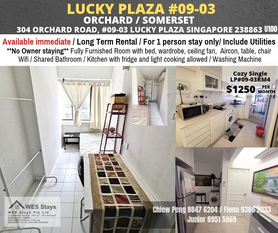 Available Immediate / Common Room / Single Occupancy / no Owner Staying / No Agent Fee / Cooking allowed / Orchard Mrt / Somerset MRT / Newton MRT - Orchard 乌节路 - 分租房间 - Homates 新加坡