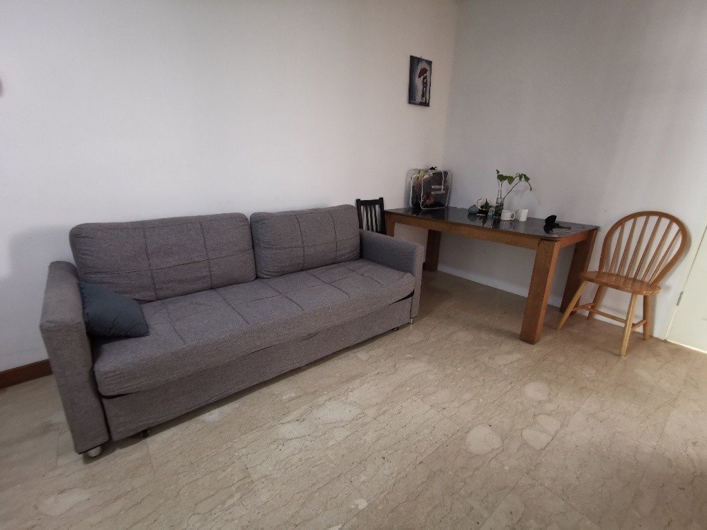 Room for Rent / River Valley (Somerset MRT) / Common Room / 1 Pax Stay / Available Immediate RM4 - Orchard - Flat - Homates Singapore