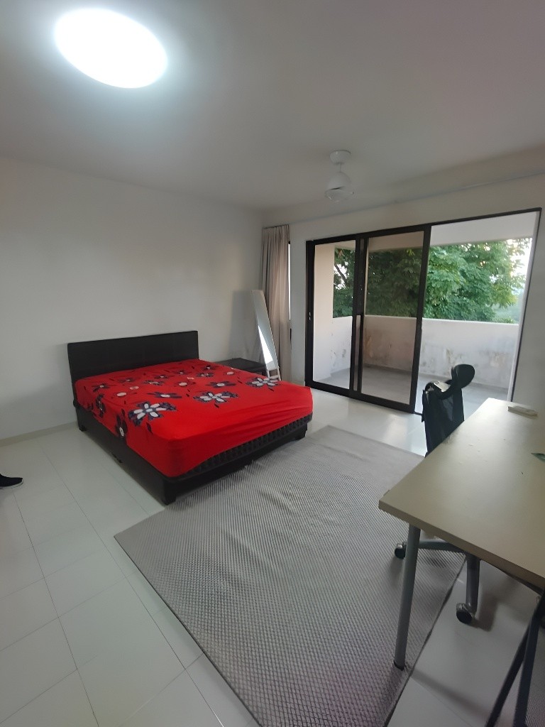 Common Room / Near Clementi, Dover &amp; Buona Vista MRT / 1 Pax Stay / Available 3 Nov / No Owner Stay - Bukit Timah - Flat - Homates Singapore