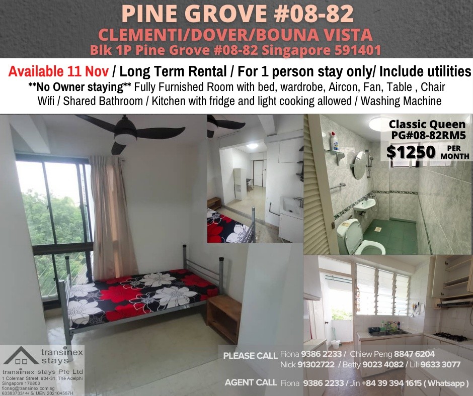 Near Clementi MRT/Dover MRT/ 1P Pine Grove/ AVAILABLE 11 Nov - Bukit Timah 武吉知馬 - 整個住家 - Homates 新加坡