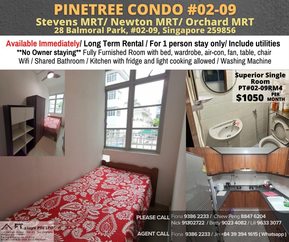 Room for rent / Near Newton MRT/Near Orchard MRT/Stevens MRT / Common room / 1pax stay / Available Immediately - Bukit Timah 武吉知馬 - 分租房間 - Homates 新加坡