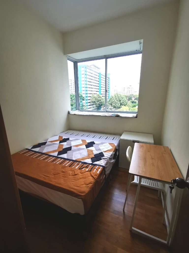 Available Dec 01/Common Room/Near Toa Payoh, Novena MRT/No Owner Staying/Fully Furnished with Bed/Wardrobe/WIFI/Air-con - Novena 諾維娜 - 分租房間 - Homates 新加坡