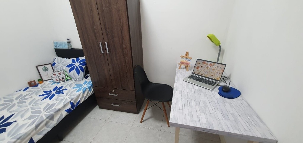 Cozy Condo Common Single Room For Rent - Tiong Bahru 中嗒魯 - 分租房間 - Homates 新加坡