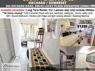 Available﻿ Immediately - Common Room/Include Utilities/Wifi/Aircon/No Agent Fee/Light Cooking Allowed/Washing Machine - 304 Orchard Road, Singapore 238863