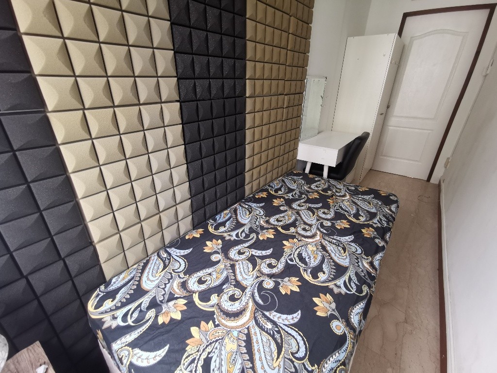 Available﻿ Immediately - Common Room/Include Utilities/Wifi/Aircon/No Agent Fee/Light Cooking Allowed/Washing Machine - Tanglin 东陵 - 整个住家 - Homates 新加坡