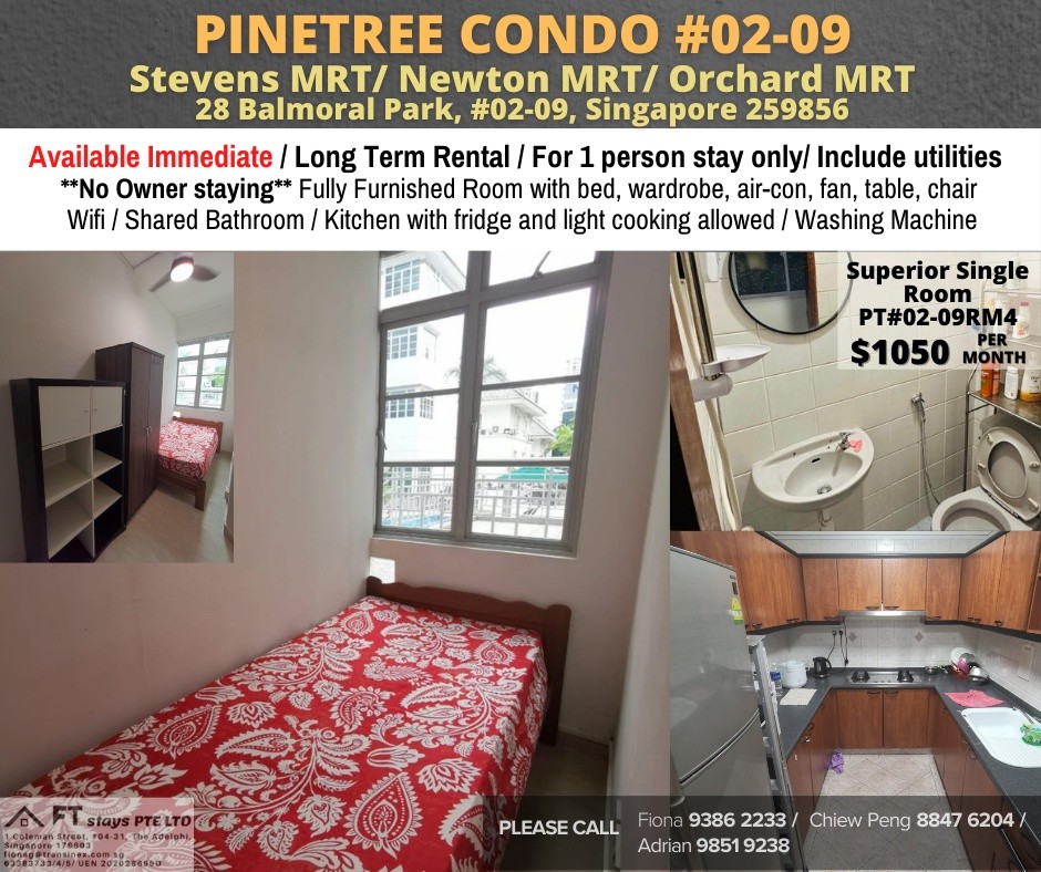 Room for rent / Orchard, Stevens / Common room / 1pax stay / Available immediate - Bukit Timah 武吉知馬 - 分租房間 - Homates 新加坡