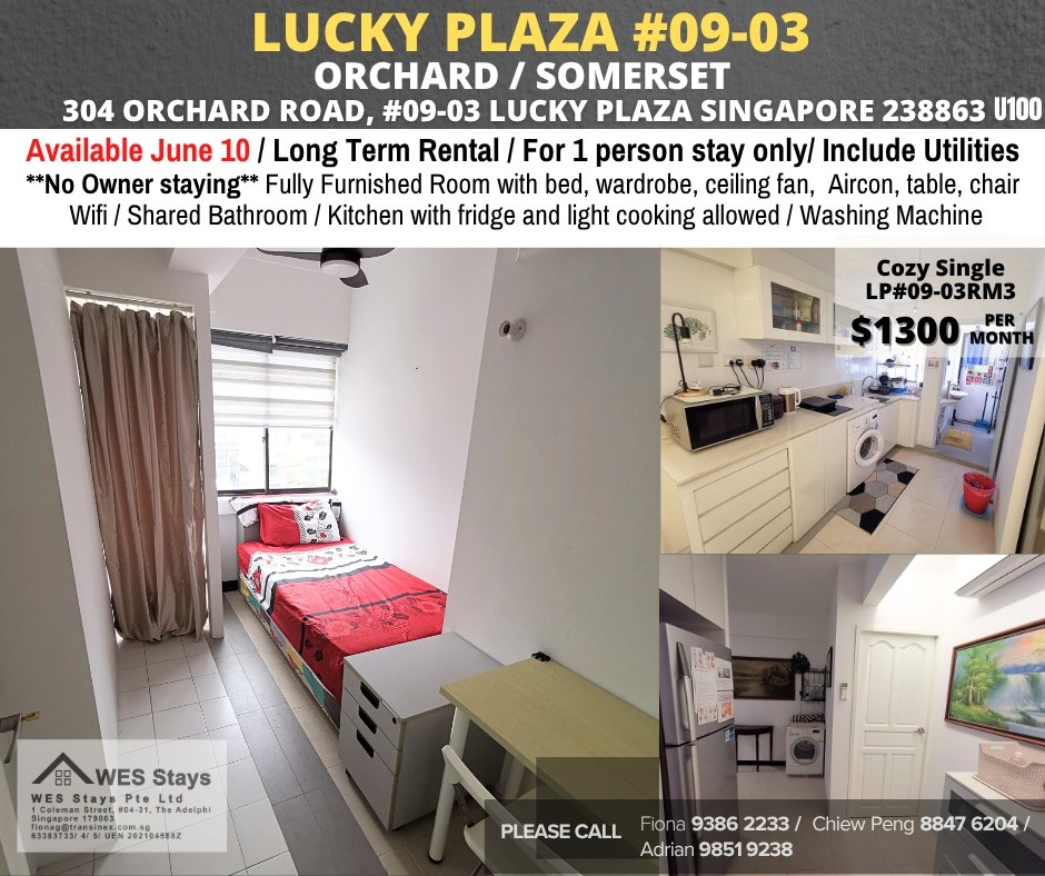 LUCKY PLAZA #09-03 - Orchard 烏節路 - 整個住家 - Homates 新加坡