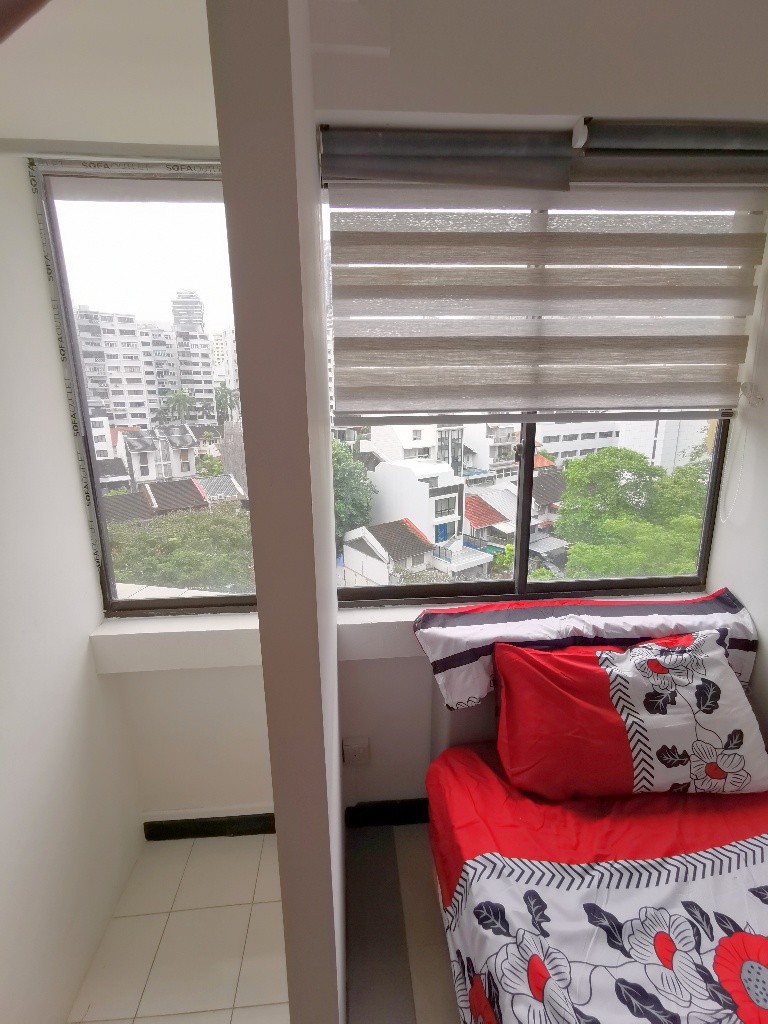 LUCKY PLAZA #09-03 - Orchard 烏節路 - 整個住家 - Homates 新加坡