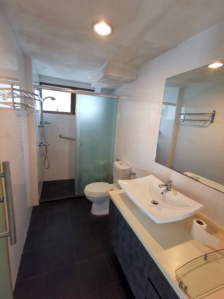 Room for Rent/10B Braddell Hill, #11-08 Singapore 579721/For 1 pax/ Available July 6 - Ang Mo Kio 宏茂橋 - 整個住家 - Homates 新加坡