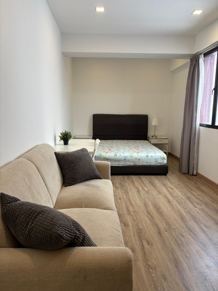 📍Condo Common Room at Balestier -  Available Jul 9 - Novena - Flat - Homates Singapore
