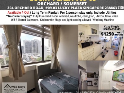 Homates Singapore - Orchard - 304 ORCHARD ROAD, #09-03 LUCKY PLAZA SINGAPORE 238863