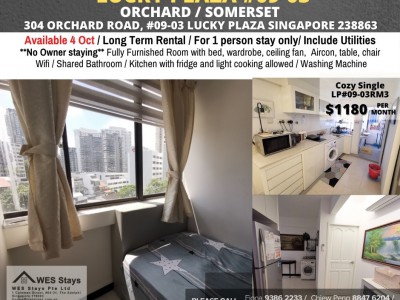 Homates 新加坡 - Orchard 烏節路 - 304 ORCHARD ROAD, #09-03 LUCKY PLAZA SINGAPORE 238863