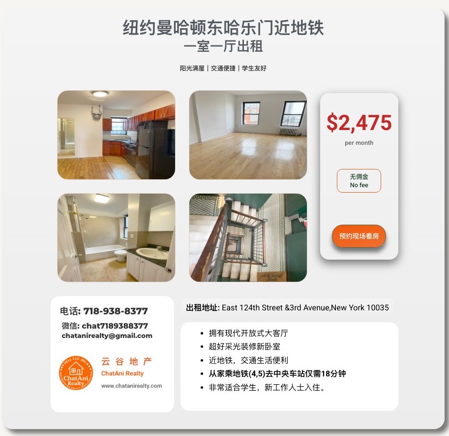 纽约曼哈顿Manhattan_东哈乐门_装修新一室一厅出租 -  - 整套出租 - Homates 美国