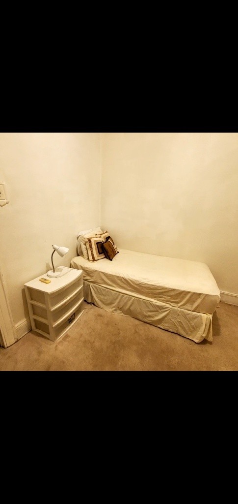 森林小丘單房出租 - Flushing - Bedroom - Homates United States