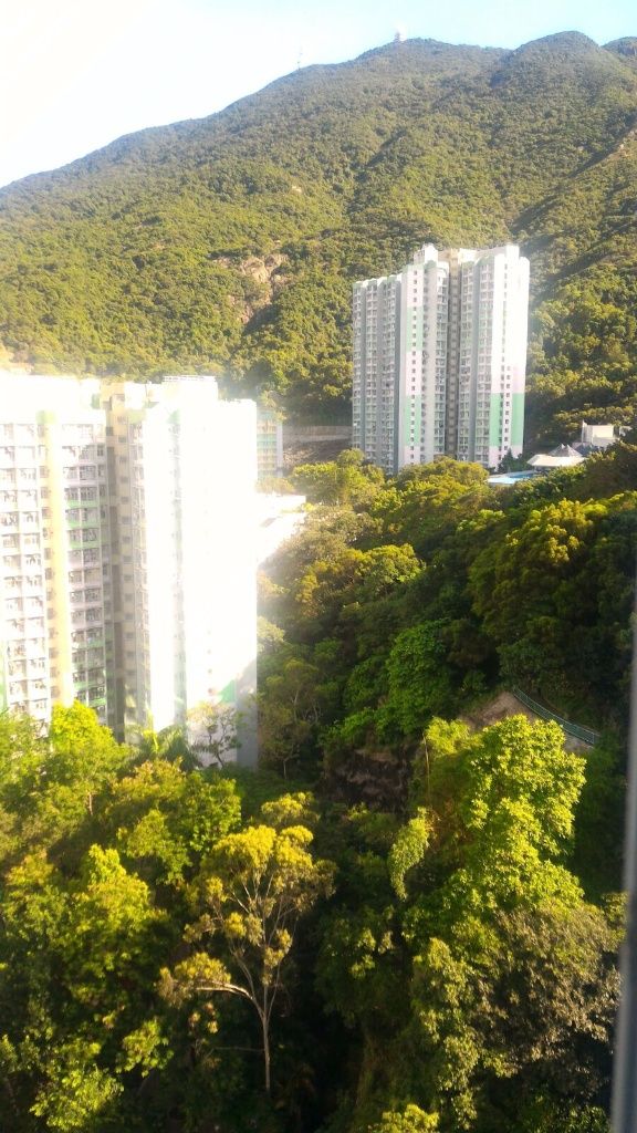 新成中心靚山景 兩房連天台出租 - 筲箕灣 - 住宅 (整間出租) - Homates 香港