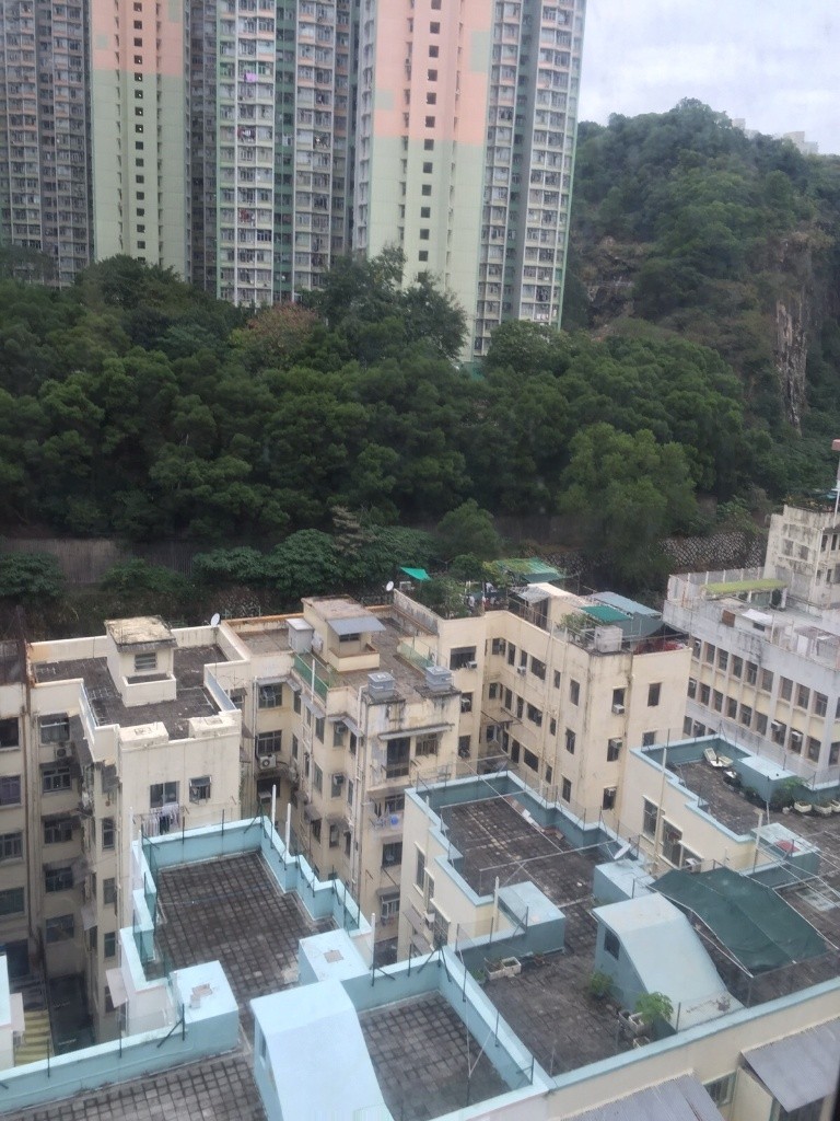 西灣閣高層1房出租有匙 - 太古/西灣河 - 住宅 (整間出租) - Homates 香港