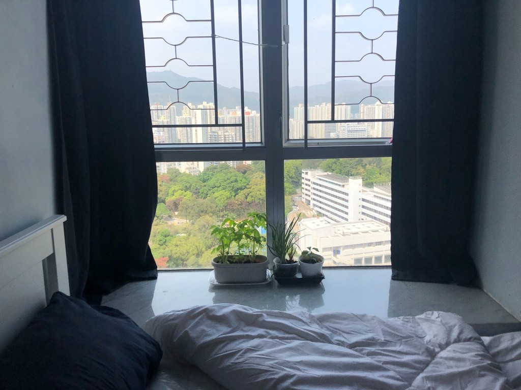 Nice quiet room above Tai Po Market MTR Station for flat share , brand-new bed and mattress, maid service inclusive  - 大埔/太和 - 房間 (合租／分租) - Homates 香港