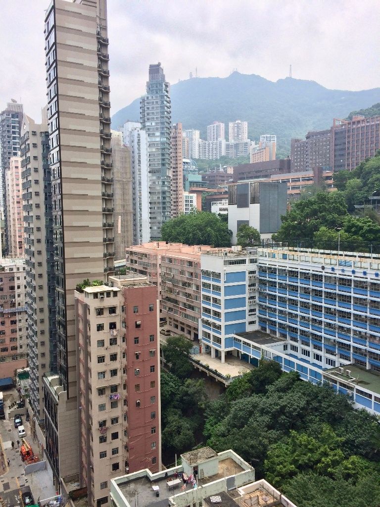 HKU MTR station, quiet, homey, high-rise apartment 1 bedroom to let - 西區 - 房間 (合租／分租) - Homates 香港