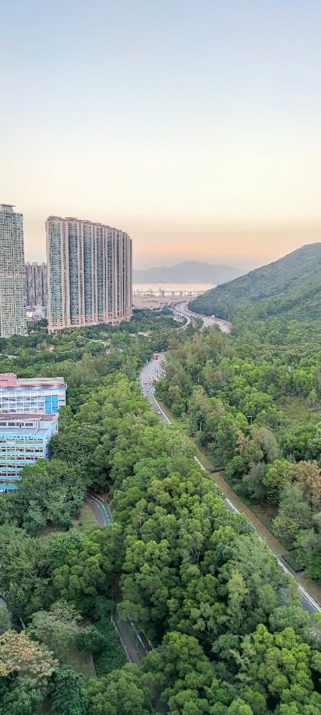 東涌市中心方便地點 Convenient location town Centre at Tung Chung. - 東涌 - 房間 (合租／分租) - Homates 香港