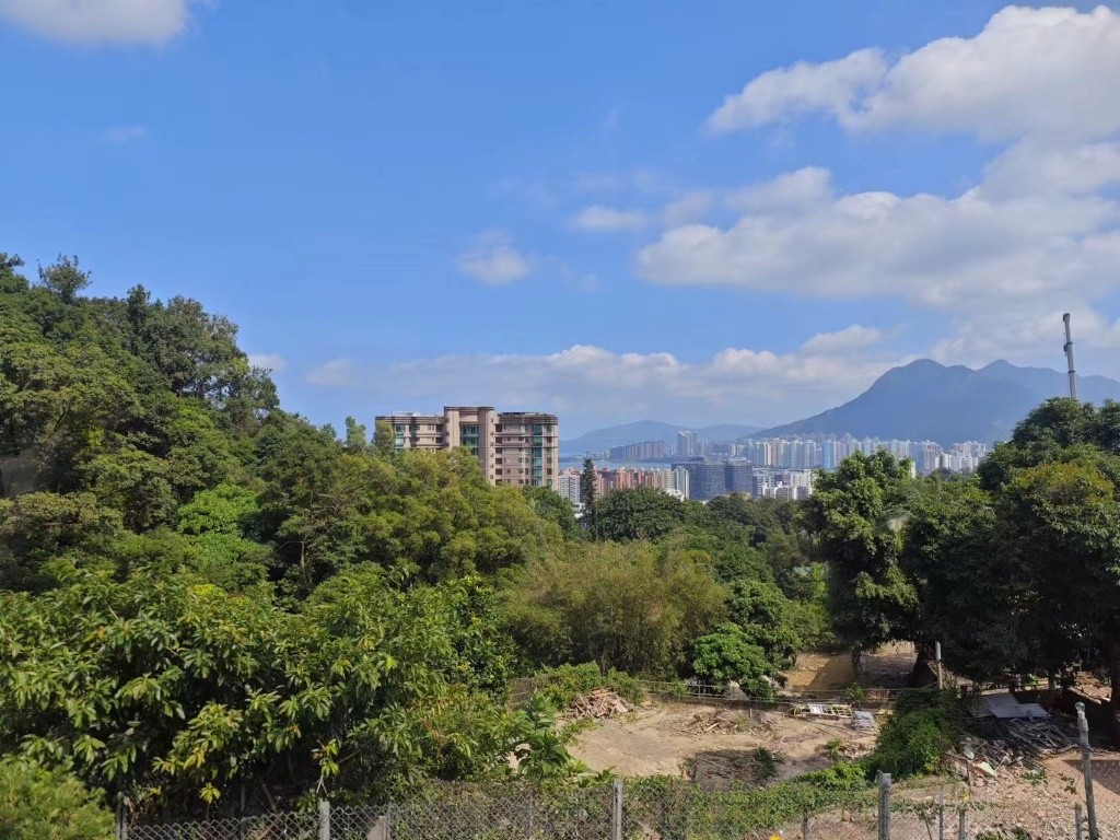 中文大學附近千霞别墅 have car park space - 大埔/太和 - 住宅 (整間出租) - Homates 香港