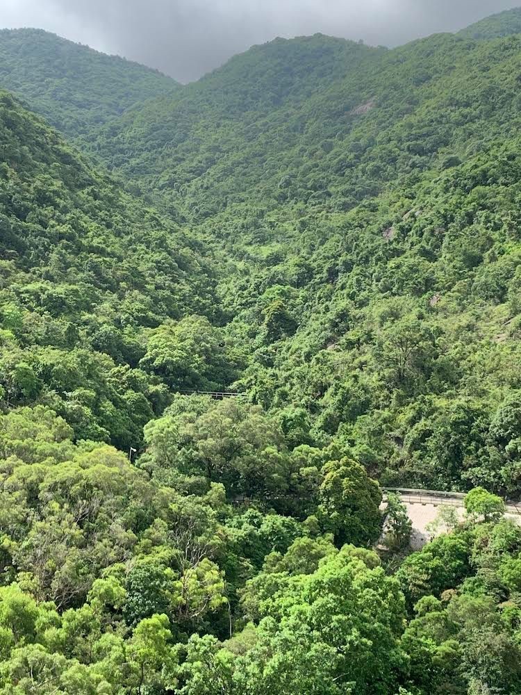 免佣金向南山景4窗高層整潔單人房只限租客 - Sha Tin/Fo Tan - Bedroom - Homates Hong Kong