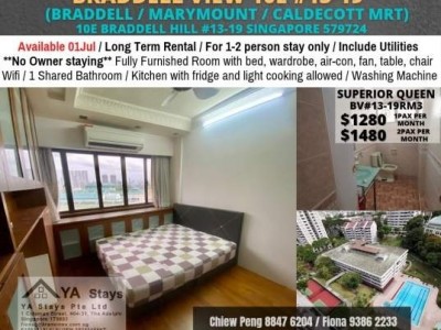 Room For Rent - Near Caldecott MRT -  BRADDELL VIEW, 10B BRADDELL HILL #11-08, SINGAPORE 579721