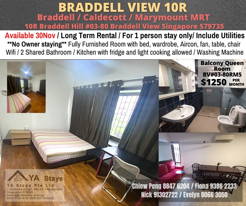 Immediate 30 Nov - Common Room/Strictly Single Occupancy/no Owner Staying/No Agent - Braddell 布萊徳 - 整個住家 - Homates 新加坡