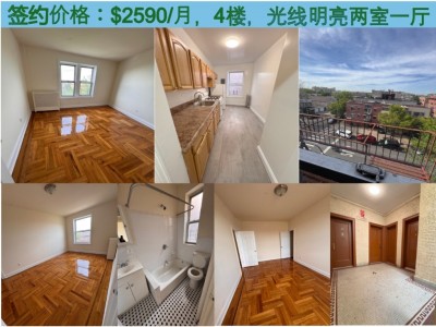 United States - Elmhurst - Queens,NY 11377
